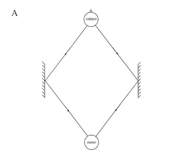 Figure 5A. Diagrams showing the positions of starers and subjects in experiments involving mirrors, 