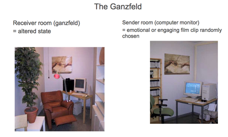 psi ganzfeld sender and receiver rooms