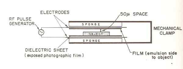  Krippner & Rubin (1973), Fig. 38.