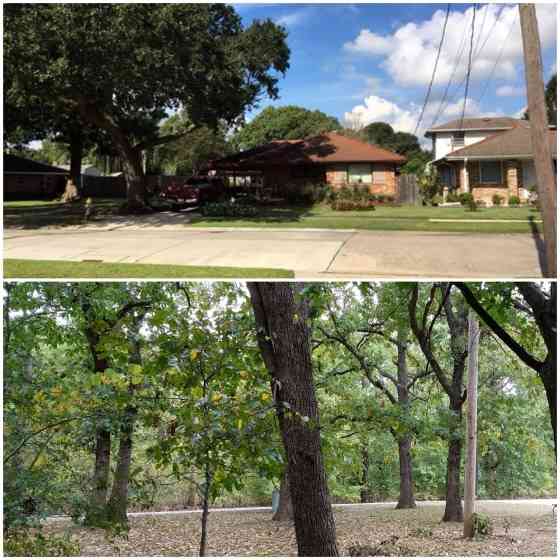 Figure 1. Comparison of view from Schultz driveway (top) with view Rylann had of her garden
