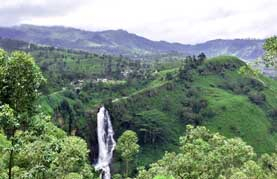 photograph of Talawakele, Sri Lanka 