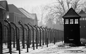 photograph of Auschwitz death camp