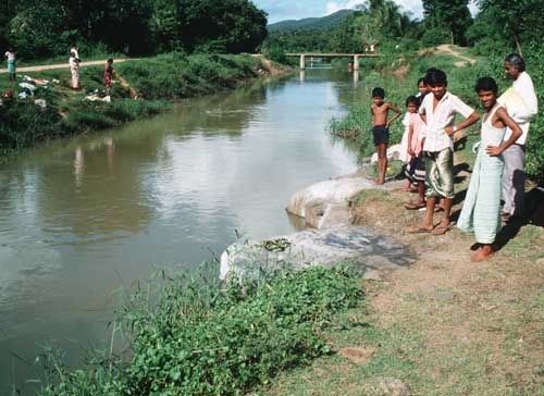 Dilukshi stream