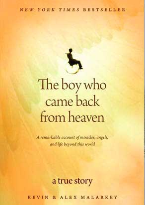 boy heaven book