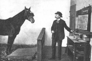 photo of Clever Hans