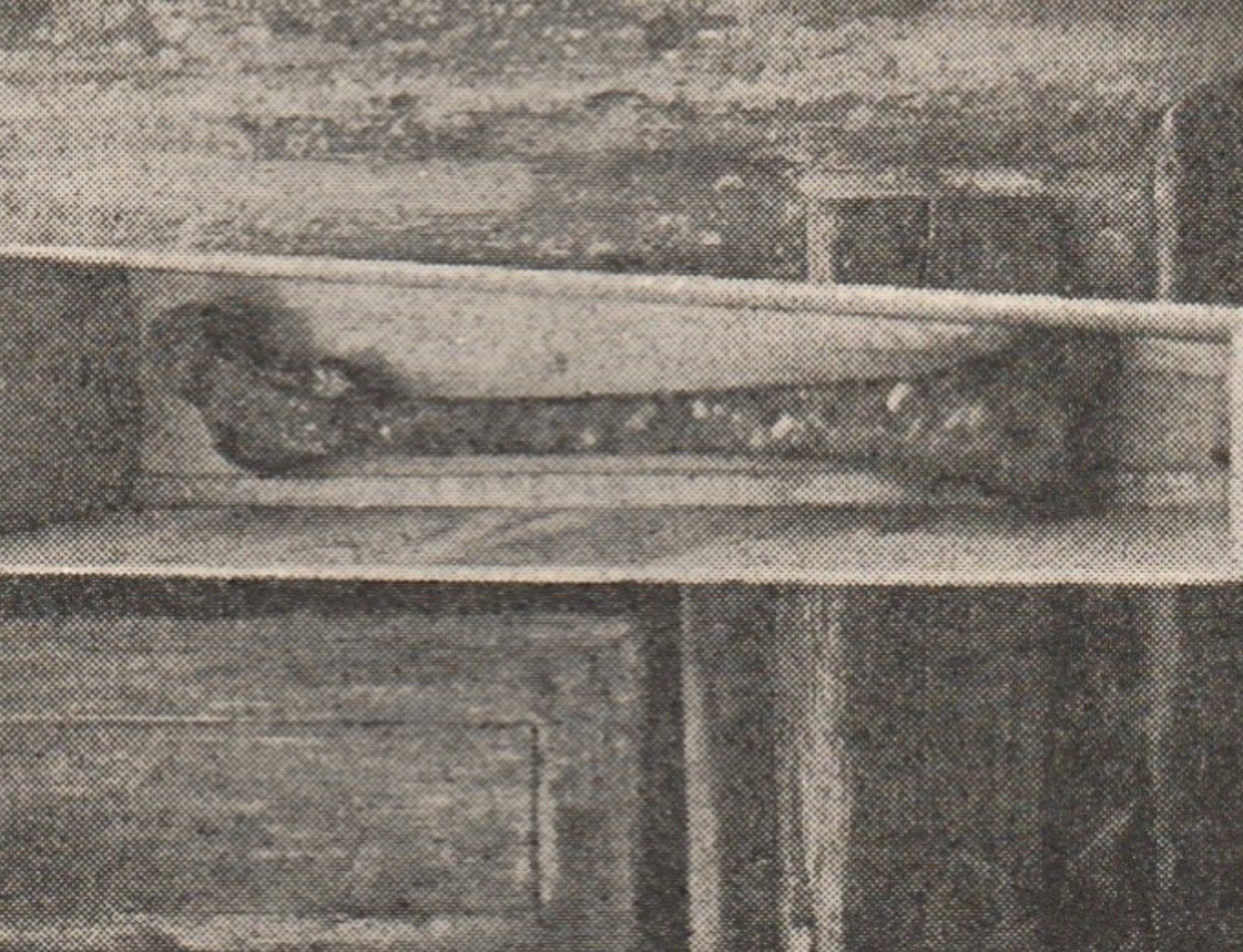Leg bone belonging to Runki