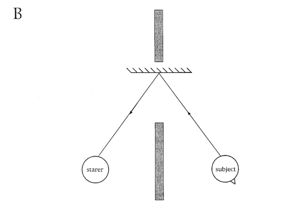 Figure 5B. Diagrams showing the positions of starers and subjects in experiments involving mirrors, Figure 5B. Diagrams showing the positions of starers and subjects in experiments involving mirrors,
